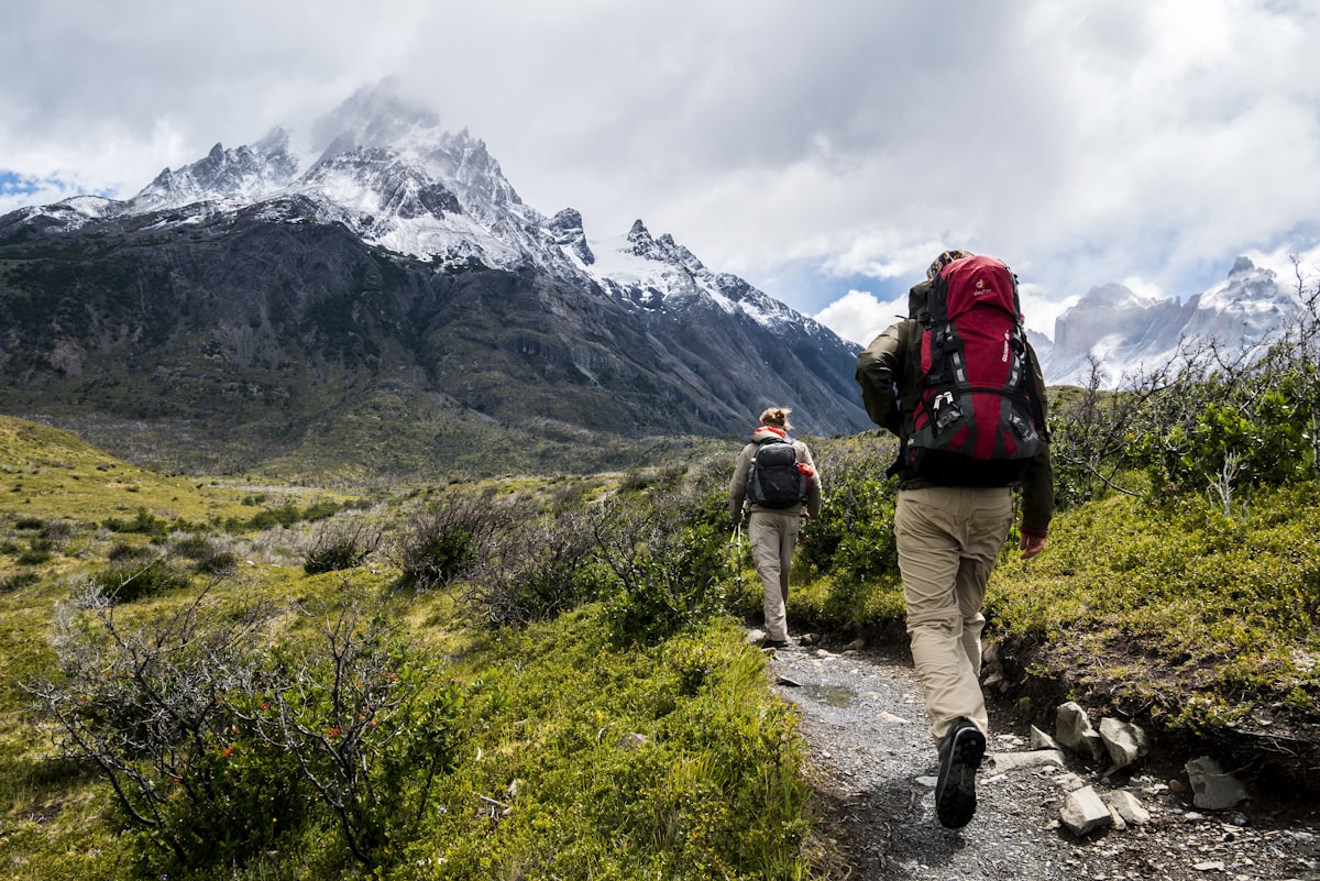 Trail through green ridges